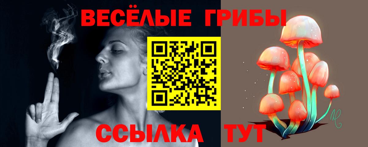 Галлюциногенные грибы Cubensis  Вход с VPN  Новокубанск 